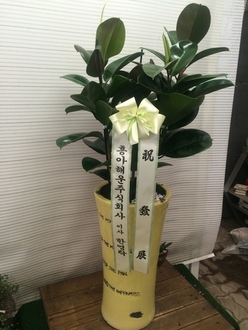 ��������7