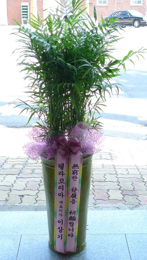 ���̺�����7