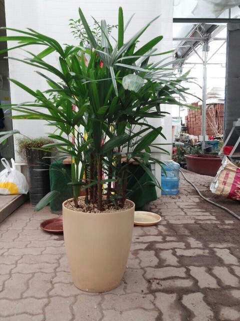 ������10